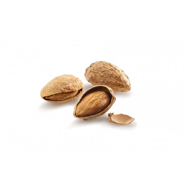 raw - dried nuts - ALMONDS IN SHELL RAW NUTS